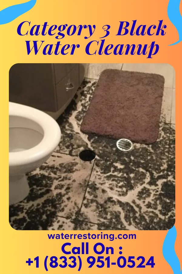 Category 3 Black Water Cleanup in Woodcliff Lake, NJ