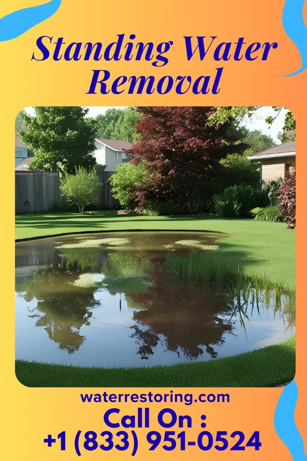 Standing Water Removal in Woodcliff Lake, NJ
